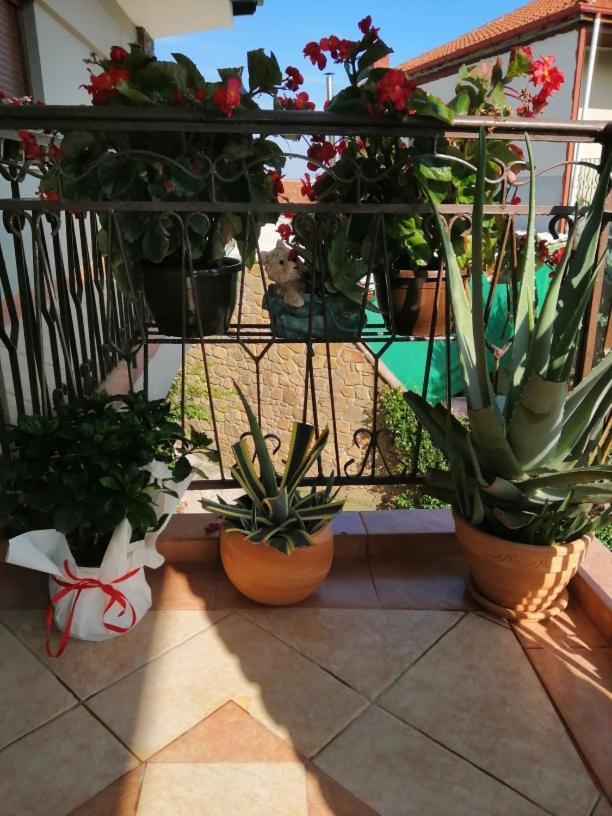 Guesthouse Athanasiou Káto Loutrákion Zewnętrze zdjęcie